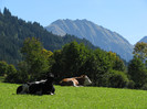 IMG_1679