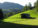 IMG_1763