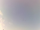 02092009295