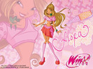 Winx-Club-Official-Wallpapers-the-winx-club-12182678-1024-768