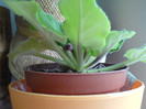 DSC01767