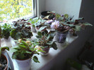 DSC01757
