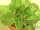DSC01774
