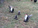 20121124_112630