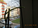 24.11.2012 034