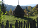 IMG_1853