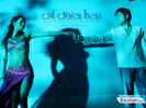 dildiyahai8_10x7