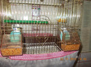 DSCN4883_404