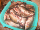 DSCN4919_440