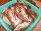 DSCN4917_438