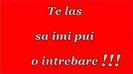 sa va aud