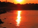 IMG_0975