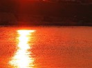 IMG_0982