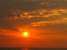 IMG_2062