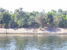 on the Nile