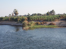 on the Nile
