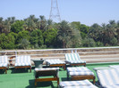 on the Nile