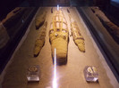 crocodil mummies
