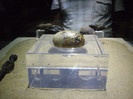 Crocodil Mummies