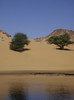 on the Nile, Aswan
