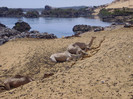 Nubian Village
