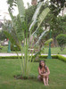 Oasis Hotel, Cairo