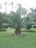 Oasis Hotel, Cairo