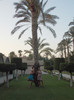Oasis Hotel, Cairo