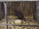 DSCF4039