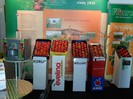 excursie 2012 278