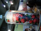 excursie 2012 287