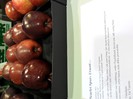 excursie 2012 296