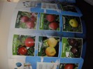 excursie 2012 299