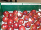 excursie 2012 342