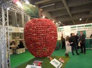 excursie 2012 343