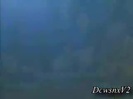 Disney Channel Special Look - Finding Nemo 3D 0069