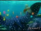 Disney Channel Special Look - Finding Nemo 3D 0119