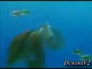 Disney Channel Special Look - Finding Nemo 3D 0166
