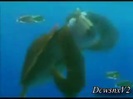 Disney Channel Special Look - Finding Nemo 3D 0173