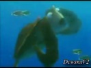 Disney Channel Special Look - Finding Nemo 3D 0174