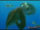 Disney Channel Special Look - Finding Nemo 3D 0175