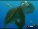 Disney Channel Special Look - Finding Nemo 3D 0177