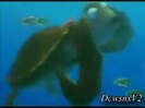 Disney Channel Special Look - Finding Nemo 3D 0180