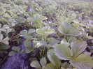 P22-04-12_07.24[1]
