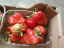 P16-05-12_08.25[1]