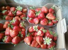 Resize_P16-05-12_08.26