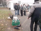 Picture 5023