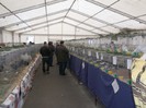 Picture 5046