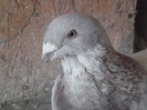 my Picture 076 F2011