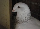 my Picture 090
